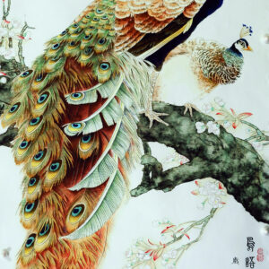 Peacock Picture（孔雀图）
