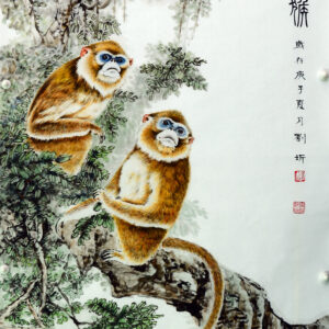 Golden snub-nosed monkey（金絲猴）